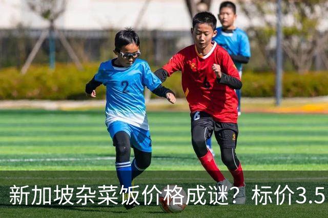 新加坡杂菜饭价格成谜？标价3.5，结账却收6.7新元，网友直呼“太疯狂”